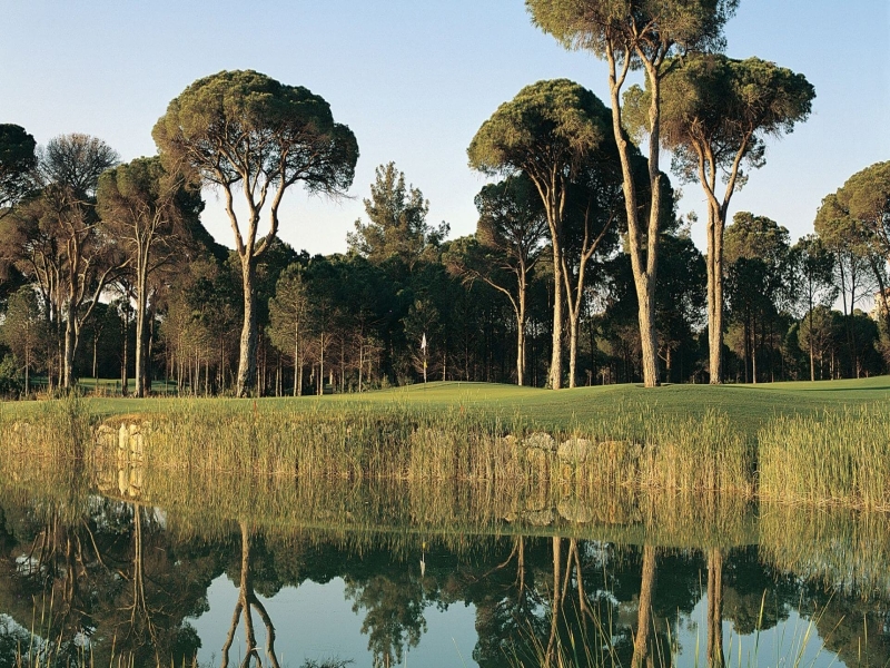 Faldo Golf Club