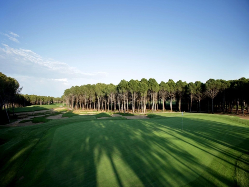 Montgomerie Golf Club