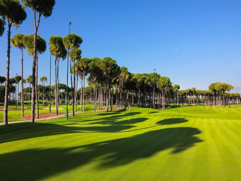 Carya Golf Akademi